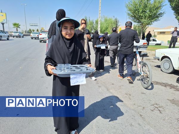 پیاده‌روی جاماندگان اربعین حسینی در مرودشت 