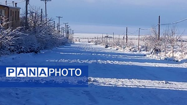 سفیدپوش شدن روستاهای یزد به روایت تصویر