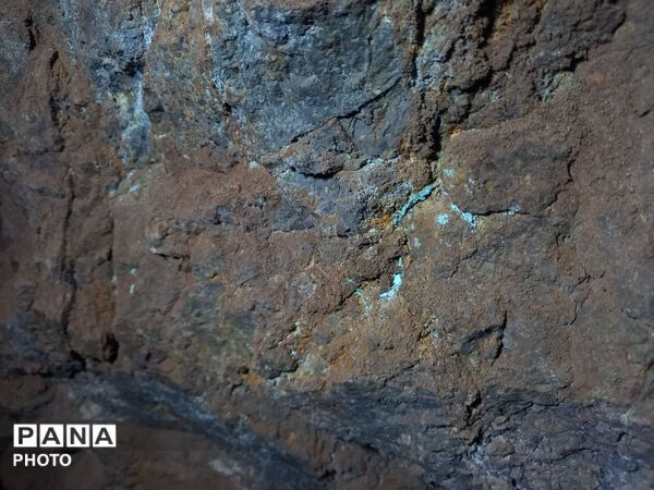 از گنج آبی تا آرامش دریاچه؛ اردوی خبرنگاران فعال پانا 