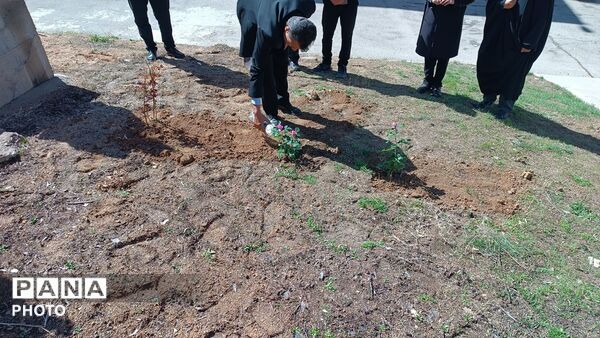 پویش «به یاد سرو، به نام ایران» 