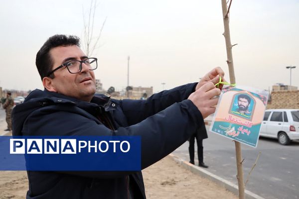 کاشت درخت به یاد شهدا در محمدشهر 