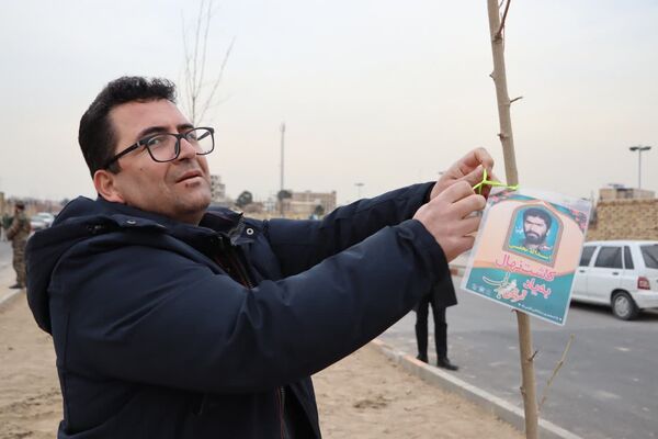 کاشت درخت به یاد شهدا در محمدشهر 