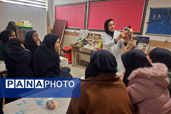 کارگاه تشریح قلب برای دانش آموزان فرزانگان شهرستان ملارد