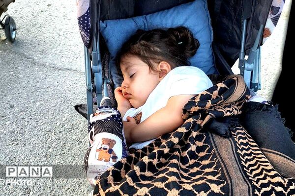 میلیون‌ها زائر از سرتاسر کشور در مسیر پیاده‌روی اربعین
