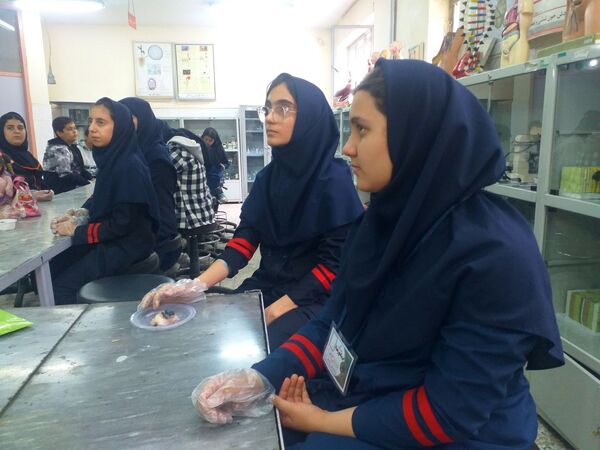 برگزاری کلاس‌های علمی و پژوهشی در پژوهشسرای بوعلی سینا شهرستان ملارد