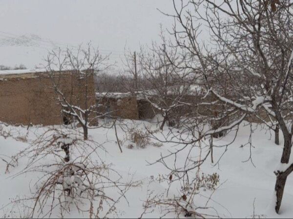 برف زمستانی، مهمان شهرستان کیار