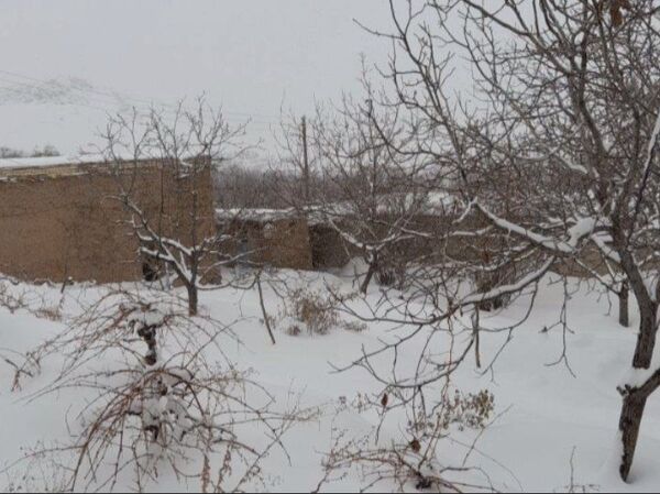 برف زمستانی، مهمان شهرستان کیار