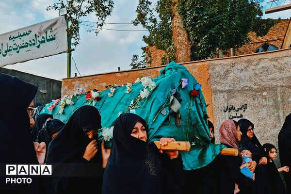 شهر بهمن در سوگ هشتمین اختر امامت