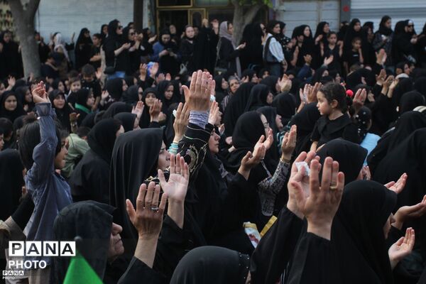 زنجان در سوگ دردانه کربلا؛ آیین عزاداری حضرت رقیه (س)