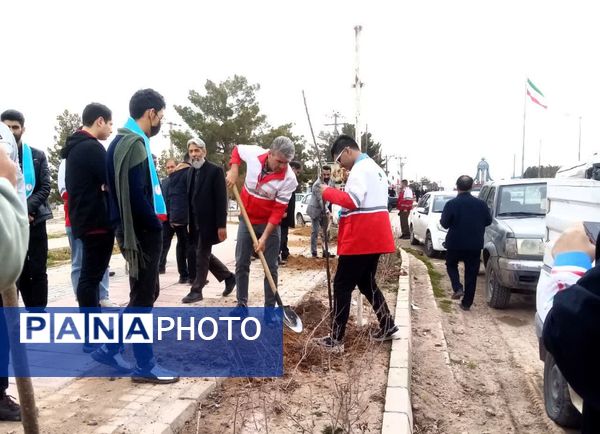 روز درختکاری در تربت جام