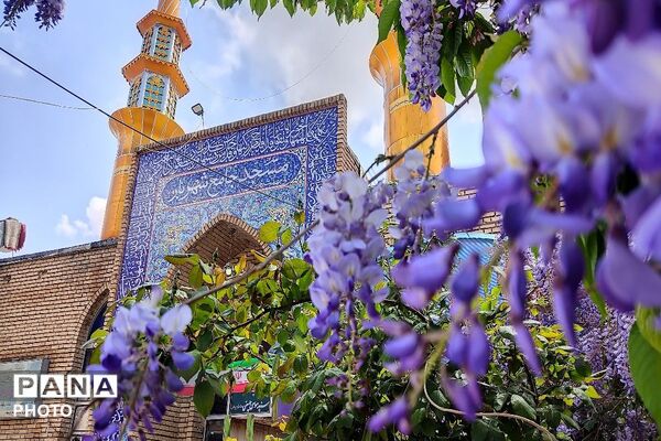 اقامه نماز عبادی سیاسی جمعه اردیبهشت ماه در شهر بار نیشابور
