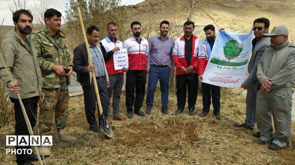 هفته درختکاری در کیار