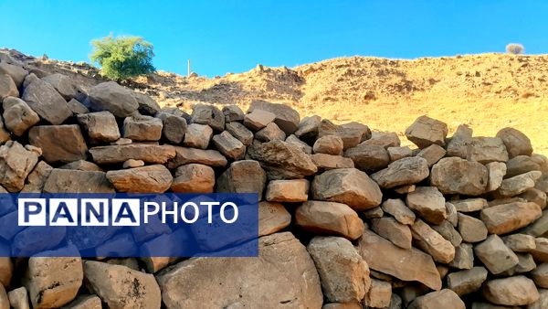 روستای برد‌زرد نگینی غریب در شهرستان لنده