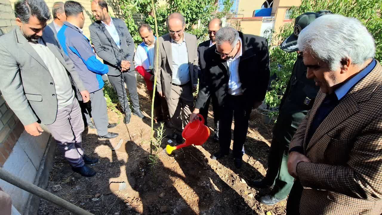 غرس نهال در مرند با شروع سال تحصیلی جدید