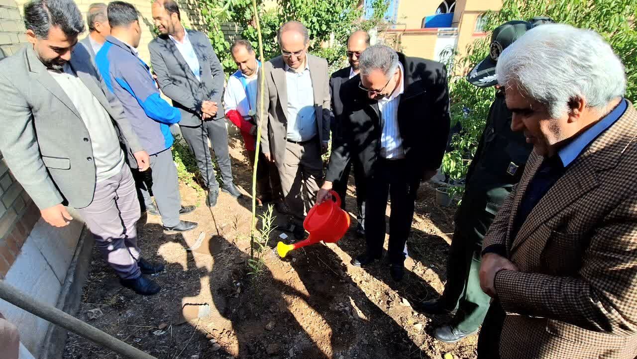 غرس نهال در مرند با شروع سال تحصیلی جدید