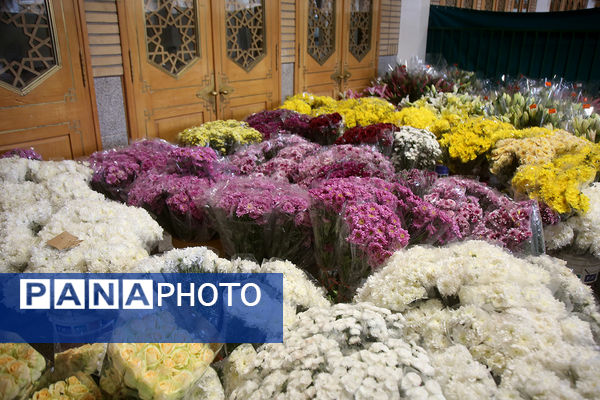 گل آرایی ضریح مطهر حضرت معصومه(س) به مناسبت روز دختر