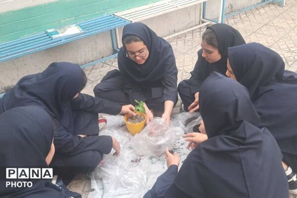 گلکاری در دبیرستان دخترانه الزهرا