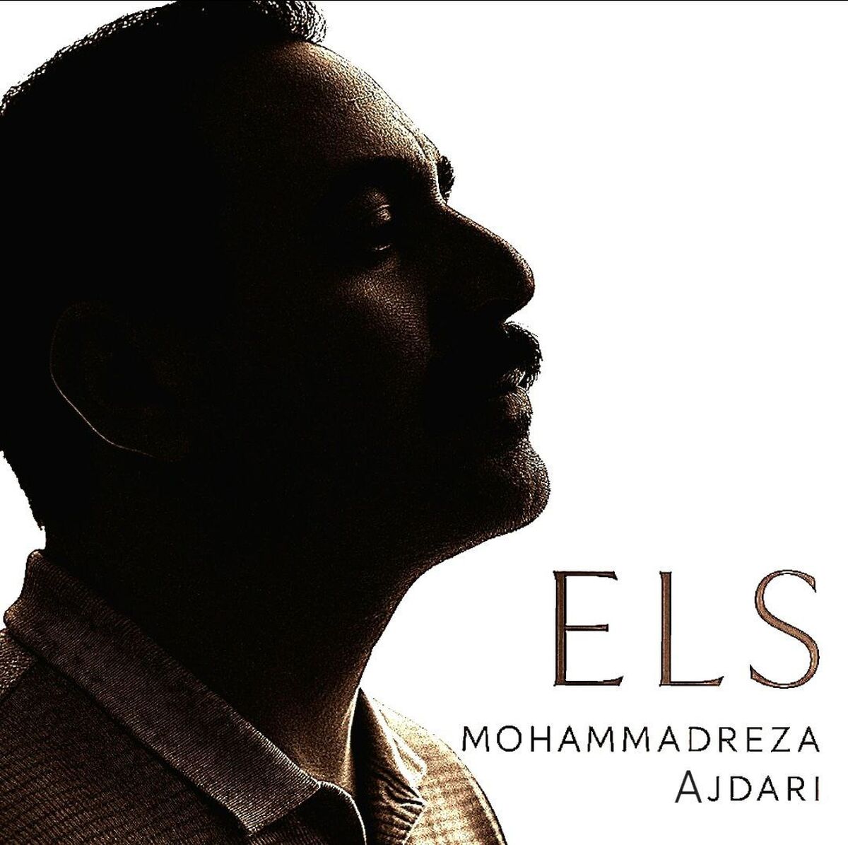 اِلس تازه‌ترین اثر محمدرضا اژدری منتشر شد