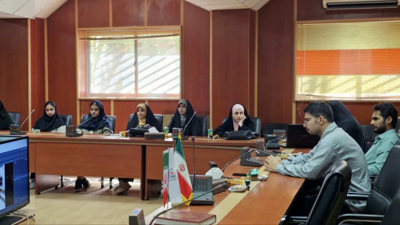 کارگاه آموزشی «نوراوی مهر» خبرگزاری پانا در بستر فضای مجازی برگزار شد