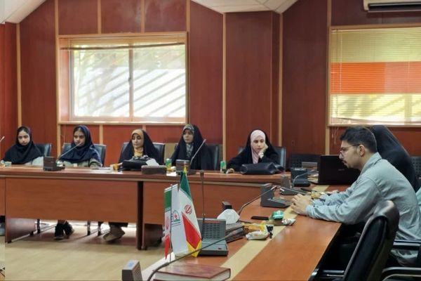 کارگاه آموزشی «نوراوی مهر» خبرگزاری پانا در بستر فضای مجازی برگزار شد