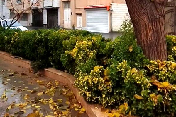 جلوه هایی از باران پاییزی در کاشمر