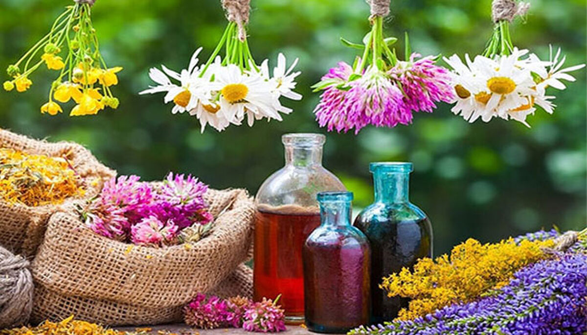 مسابقه دانش آموزی تولید محتوای «گیاهان دارویی» یزد به کار خود پایان داد