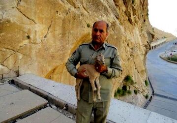 دومین قاتل شهید دیده‌بان دستگیر شد