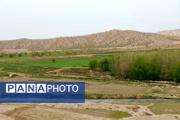 بهار، آغاز دوباره‌ی زندگی طبیعت 