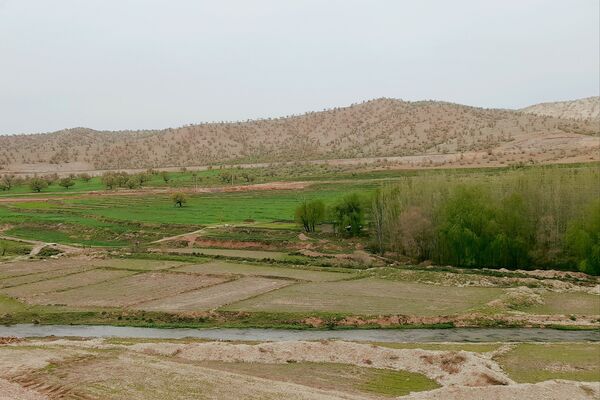 بهار، آغاز دوباره‌ی زندگی طبیعت 