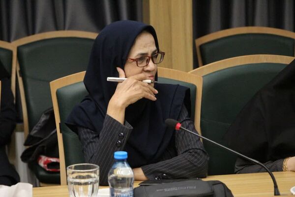 نشست خبری اداره‌کل میراث فرهنگی یزد