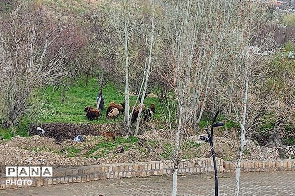 حال هوای شهر بار نیشابور بعد از بارش باران زیبا