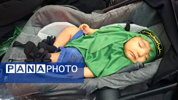 همایش شیرخوارگان حسینی(ع) در قم -3