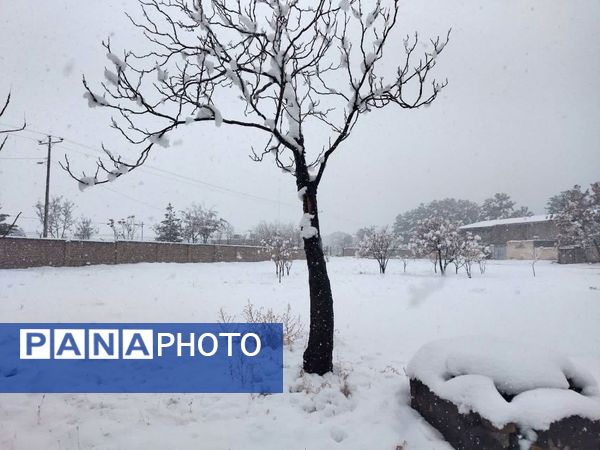 بارش برف در شهرستان تربت جام
