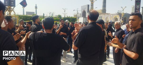 مراسم سینه زنی و عزاداری امام رضا علیه السلام توسط هیئات کاشمر 