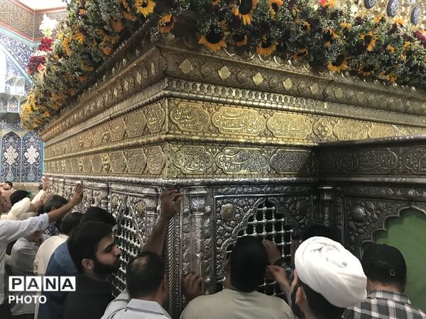 تصاویر دیدنی از حریم امن فاطمی در ایام ورود حضرت معصومه (ع) به شهر مقدس قم