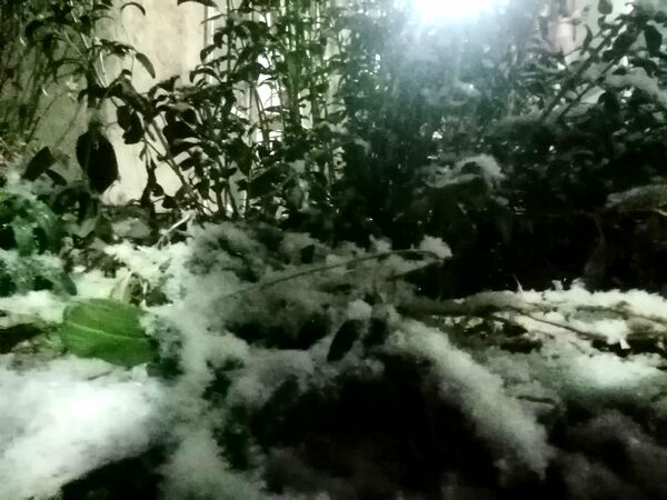بارش برف پاییزی در شهرزیبای بار نیشابور 