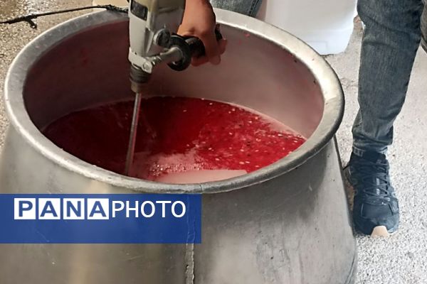 شور عزای  تاسوعای حسینی در لپویی 