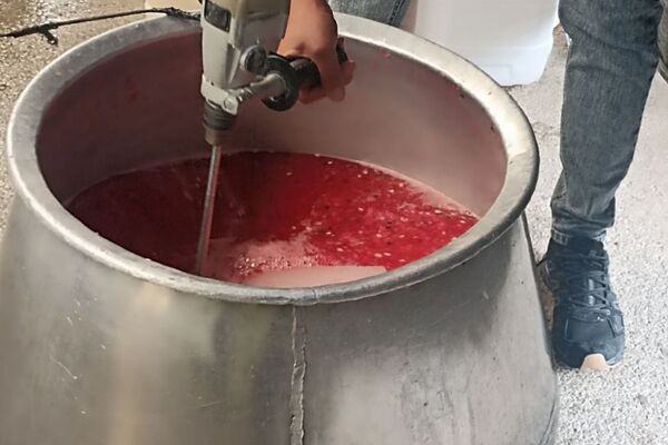 شور عزای  تاسوعای حسینی در لپویی 