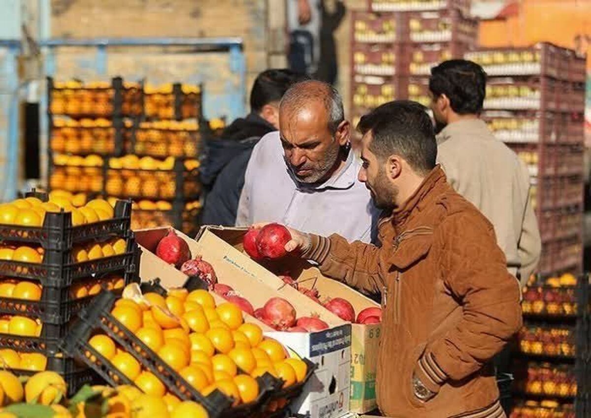حدود ۴۰ تن از میوه شب عید به شهرستان فردیس اختصاص دارد