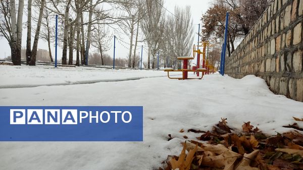 برف بی‌پایان، شهرستان بن را در آغوش سپیدی برد