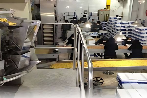 مشاغل خانگی؛ موتور محرک اقتصاد خانواده در روزگار تورم است