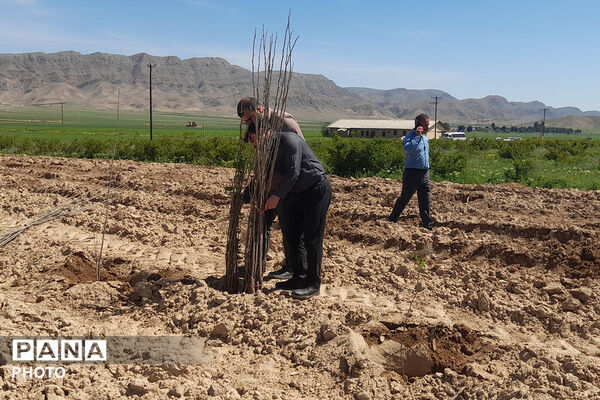 آیین نهال‌کاری روز زمین پاک در هنرستان کشاورزی سملقان