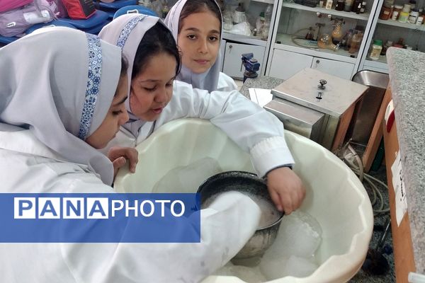 مزه شیرین علم، بستنی علمی