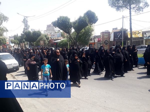 غزه تنها نیست 