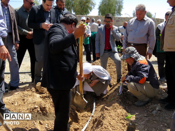 آیین "درخت سرو ایران" در شهرستان خلیل آباد 