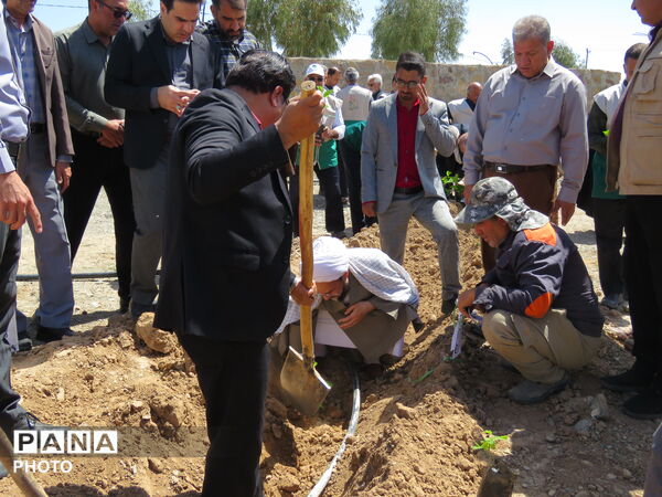 آیین "درخت سرو ایران" در شهرستان خلیل آباد 
