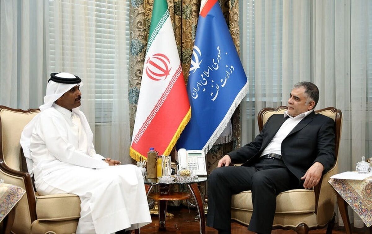 وزیر نفت با سفیر قطر در ایران دیدار کرد