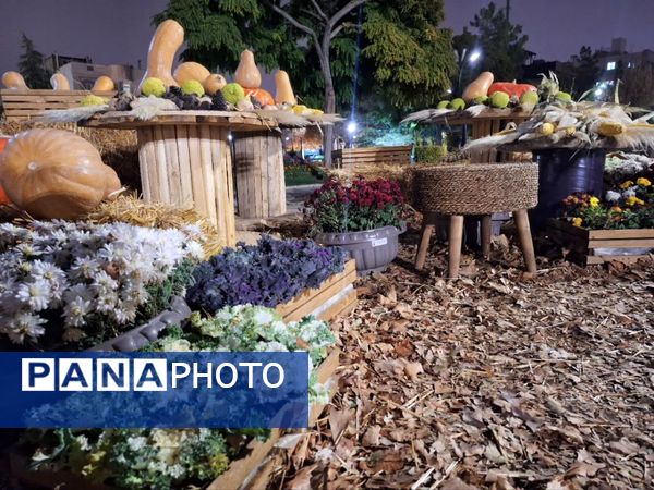 زیبایی باغ گل‌های مشهد در پاییز