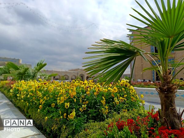حرم ضامن آهو در آغازین روز دهه کرامت