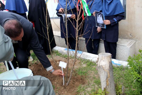 کاشت نهال همزمان با چهلمین روز شهادت فرشتگان میناب 